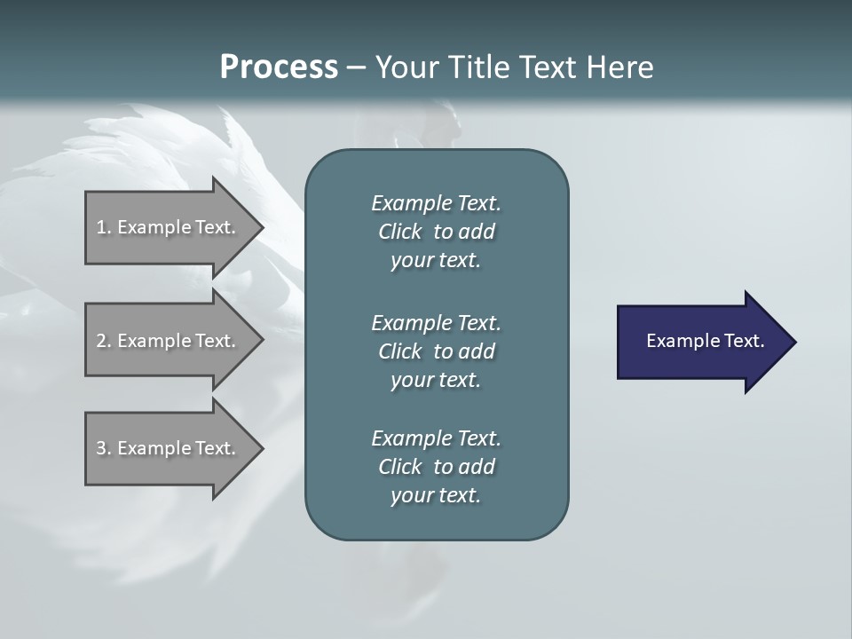 Haze Beautiful Swan PowerPoint Template