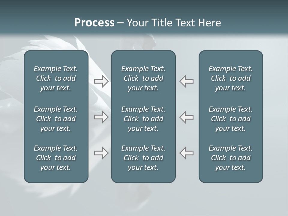 Haze Beautiful Swan PowerPoint Template