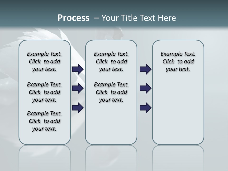 Haze Beautiful Swan PowerPoint Template