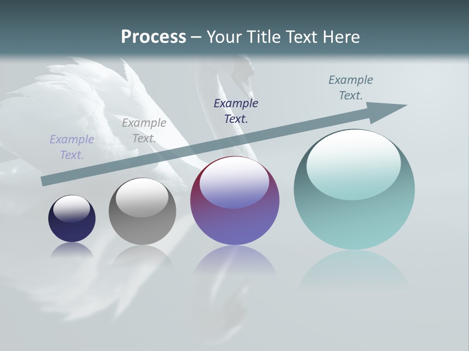 Haze Beautiful Swan PowerPoint Template