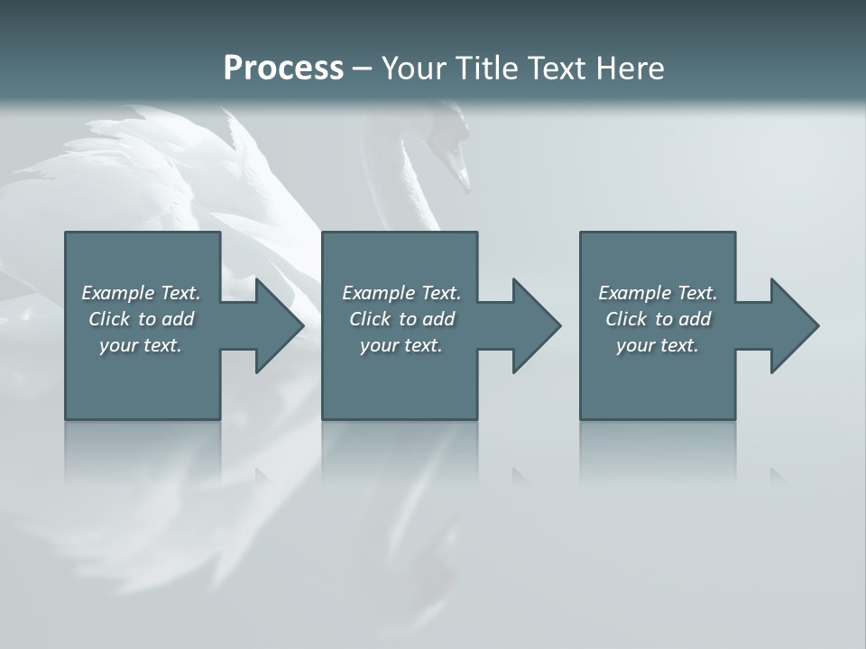 Haze Beautiful Swan PowerPoint Template