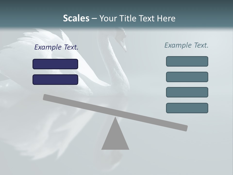 Haze Beautiful Swan PowerPoint Template