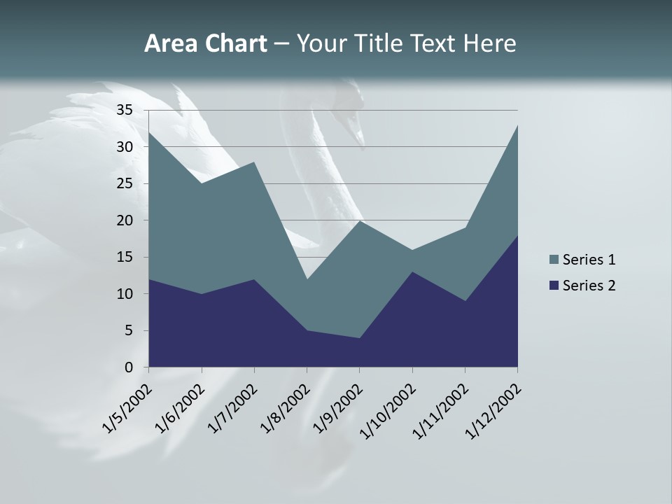 Haze Beautiful Swan PowerPoint Template