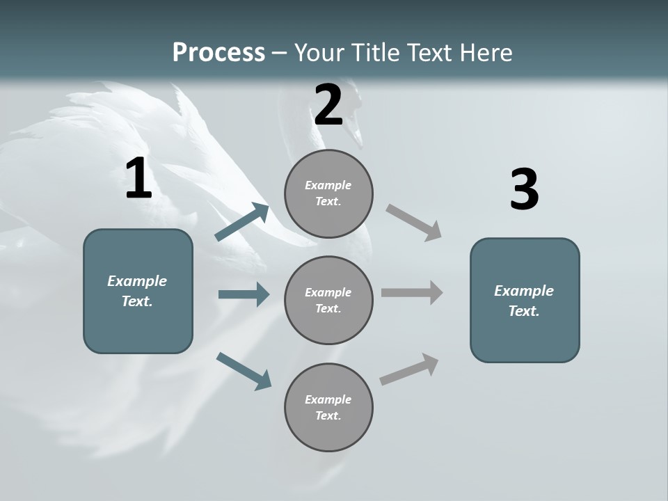 Haze Beautiful Swan PowerPoint Template