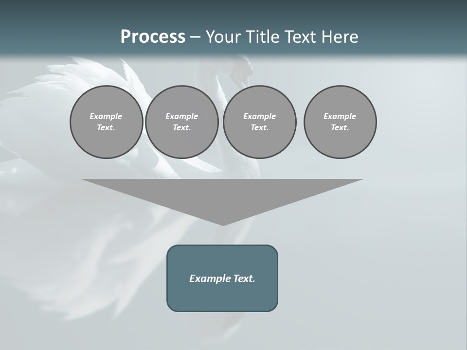 Haze Beautiful Swan PowerPoint Template