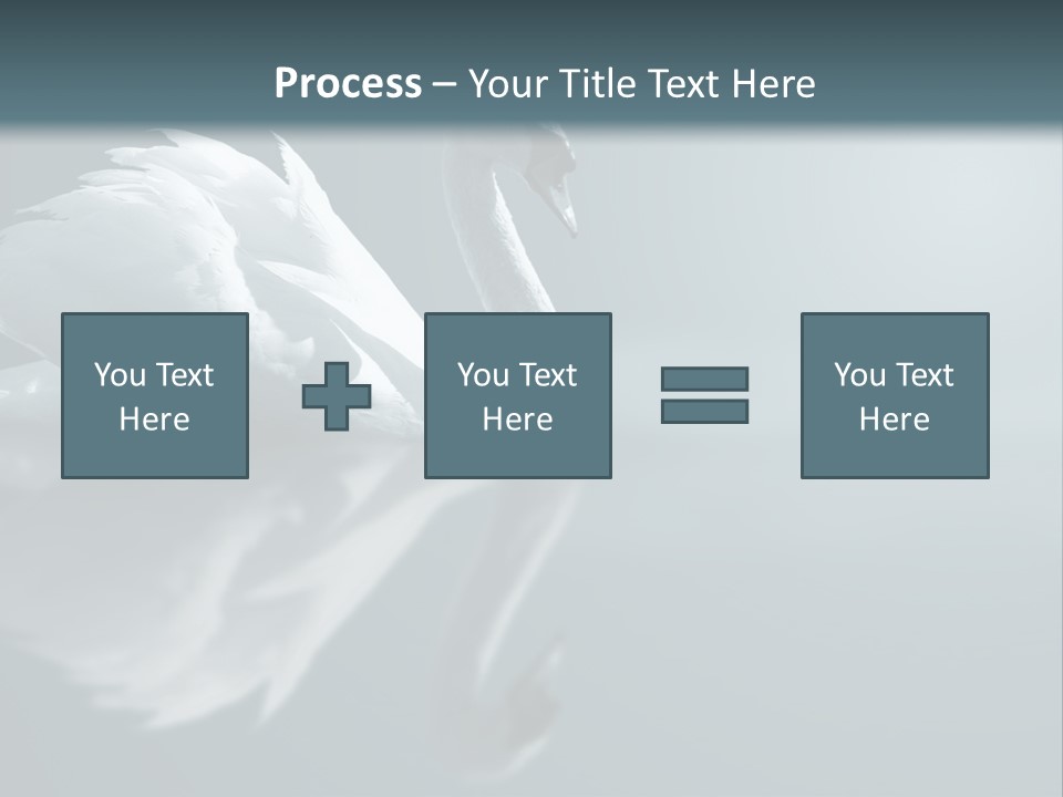 Haze Beautiful Swan PowerPoint Template