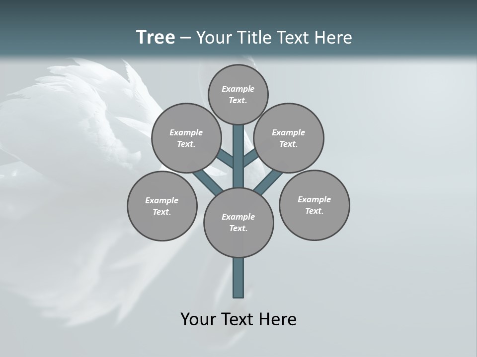 Haze Beautiful Swan PowerPoint Template