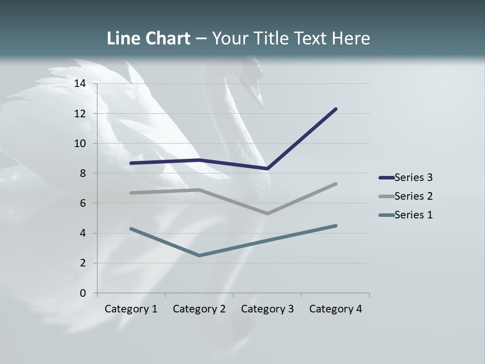 Haze Beautiful Swan PowerPoint Template