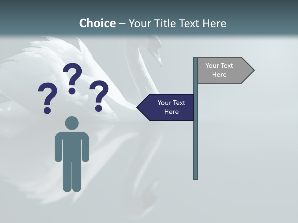 Haze Beautiful Swan PowerPoint Template