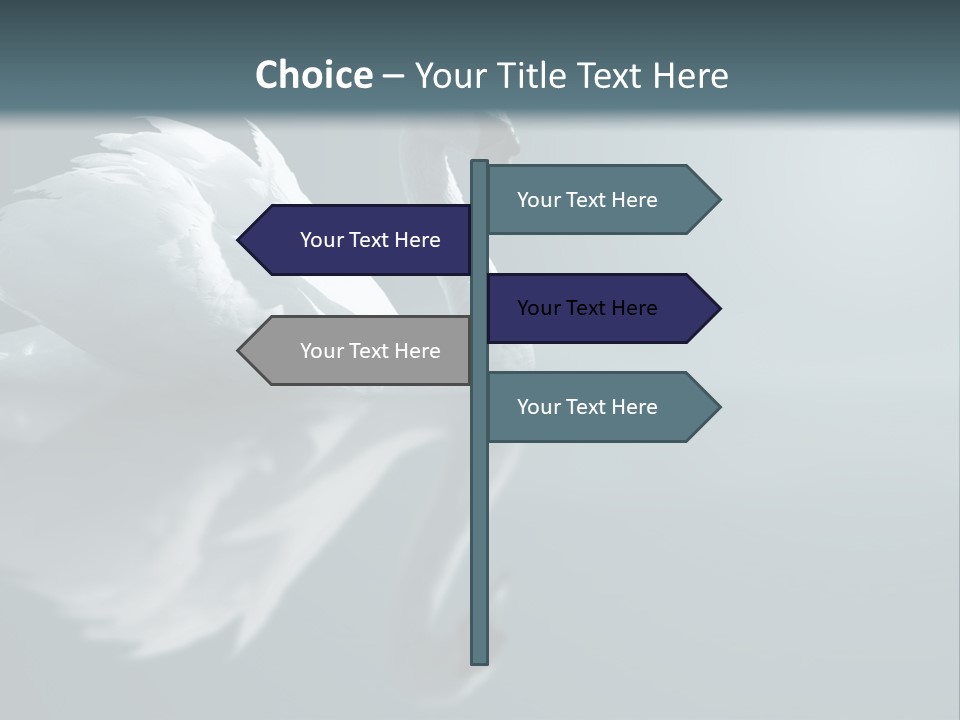 Haze Beautiful Swan PowerPoint Template