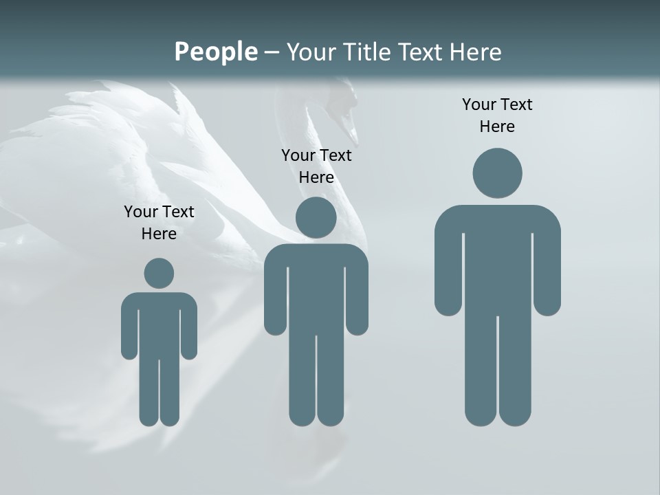 Haze Beautiful Swan PowerPoint Template