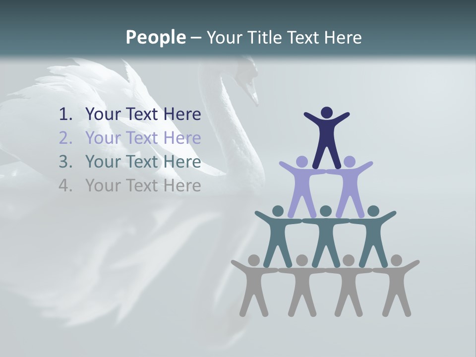 Haze Beautiful Swan PowerPoint Template