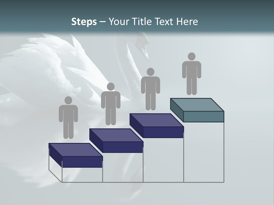 Haze Beautiful Swan PowerPoint Template
