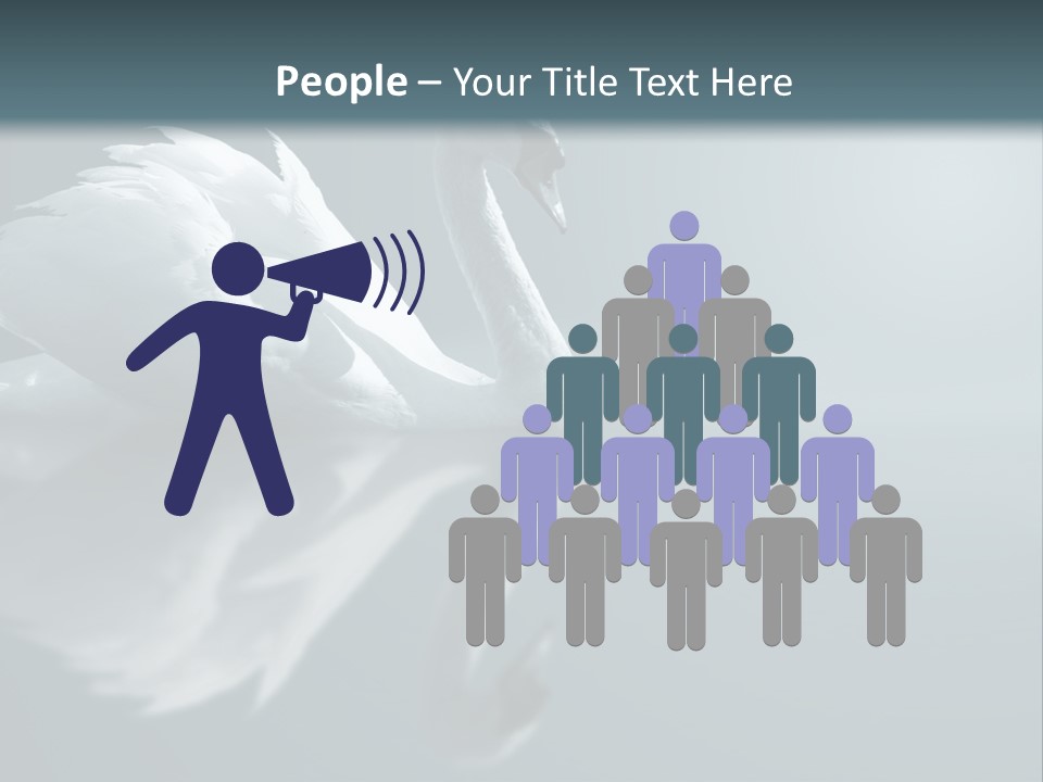 Haze Beautiful Swan PowerPoint Template