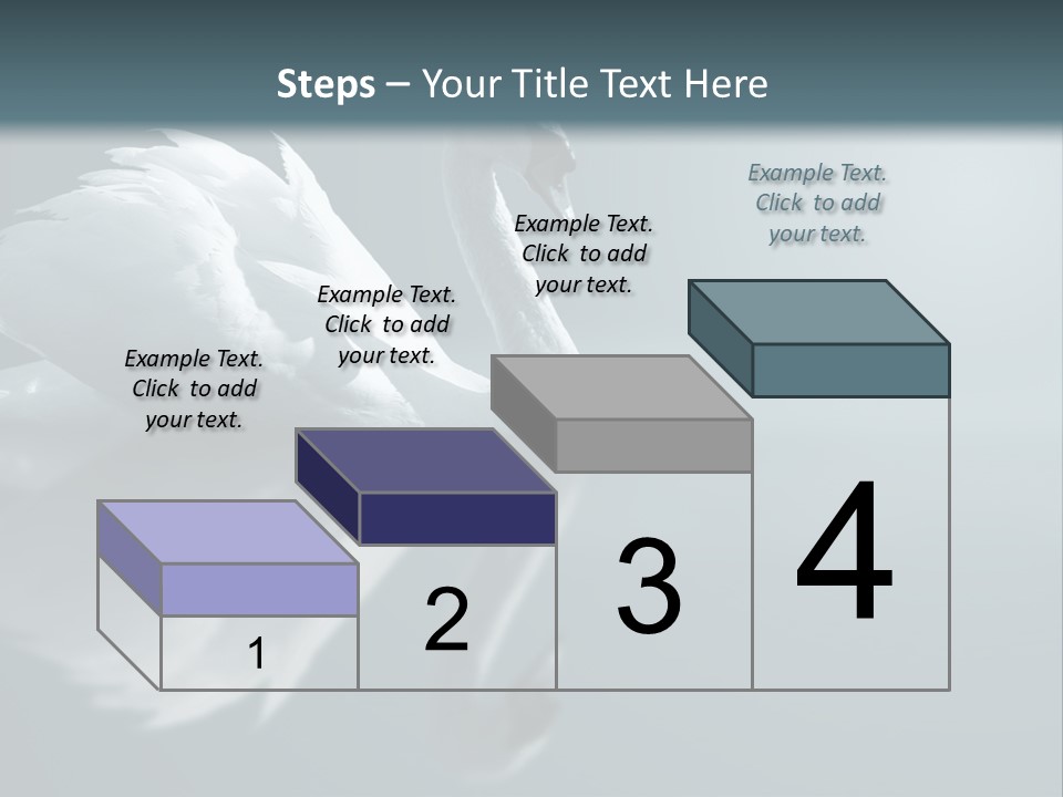 Haze Beautiful Swan PowerPoint Template