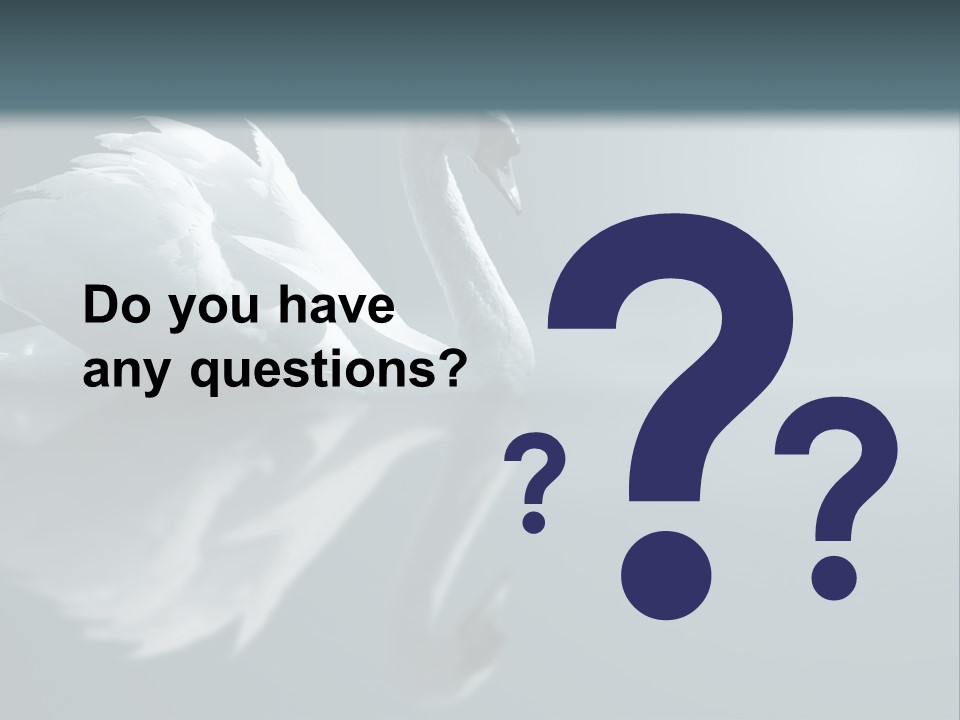 Haze Beautiful Swan PowerPoint Template