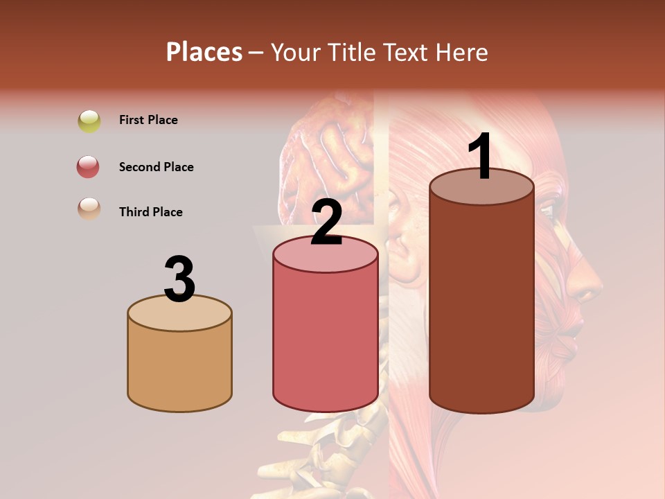 Skeleton Medic Tendon PowerPoint Template