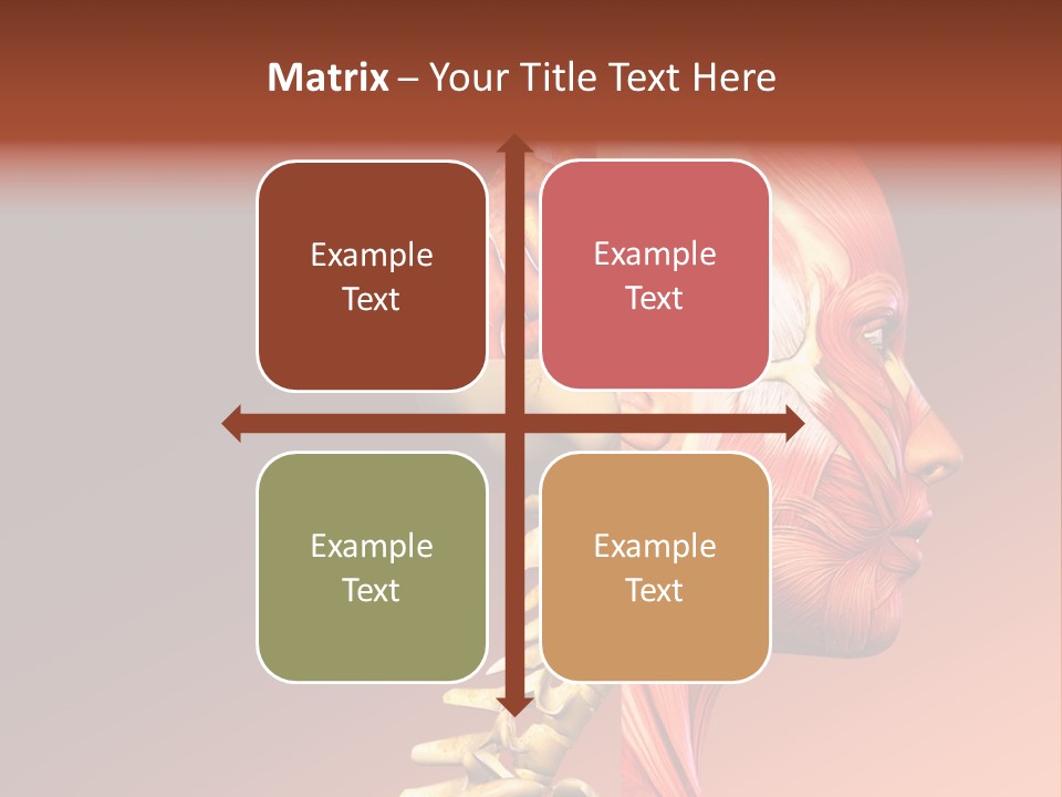 Skeleton Medic Tendon PowerPoint Template