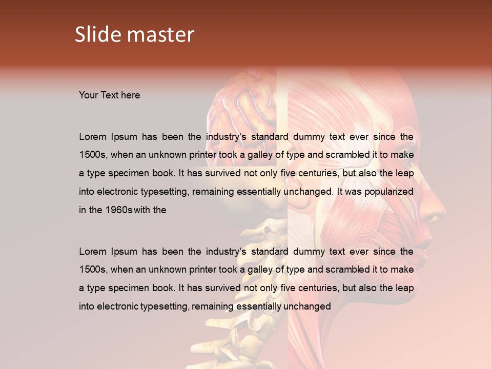 Skeleton Medic Tendon PowerPoint Template