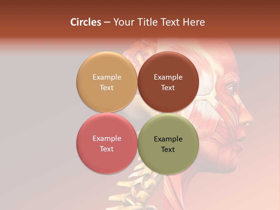 Skeleton Medic Tendon PowerPoint Template