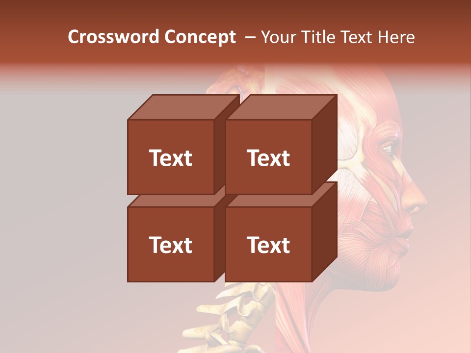 Skeleton Medic Tendon PowerPoint Template