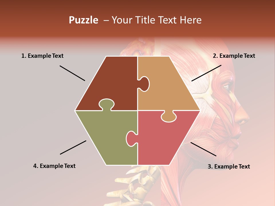 Skeleton Medic Tendon PowerPoint Template