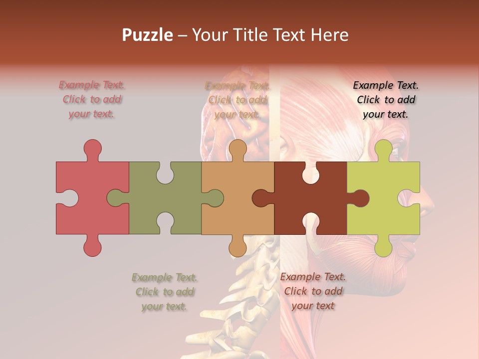 Skeleton Medic Tendon PowerPoint Template