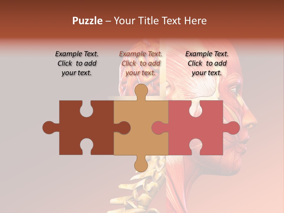 Skeleton Medic Tendon PowerPoint Template