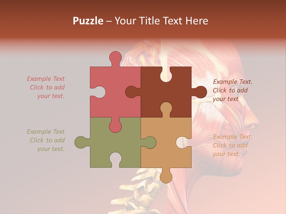 Skeleton Medic Tendon PowerPoint Template