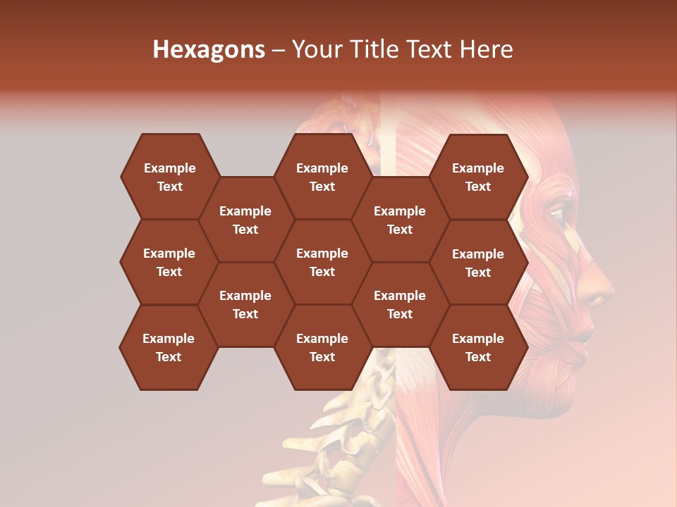 Skeleton Medic Tendon PowerPoint Template