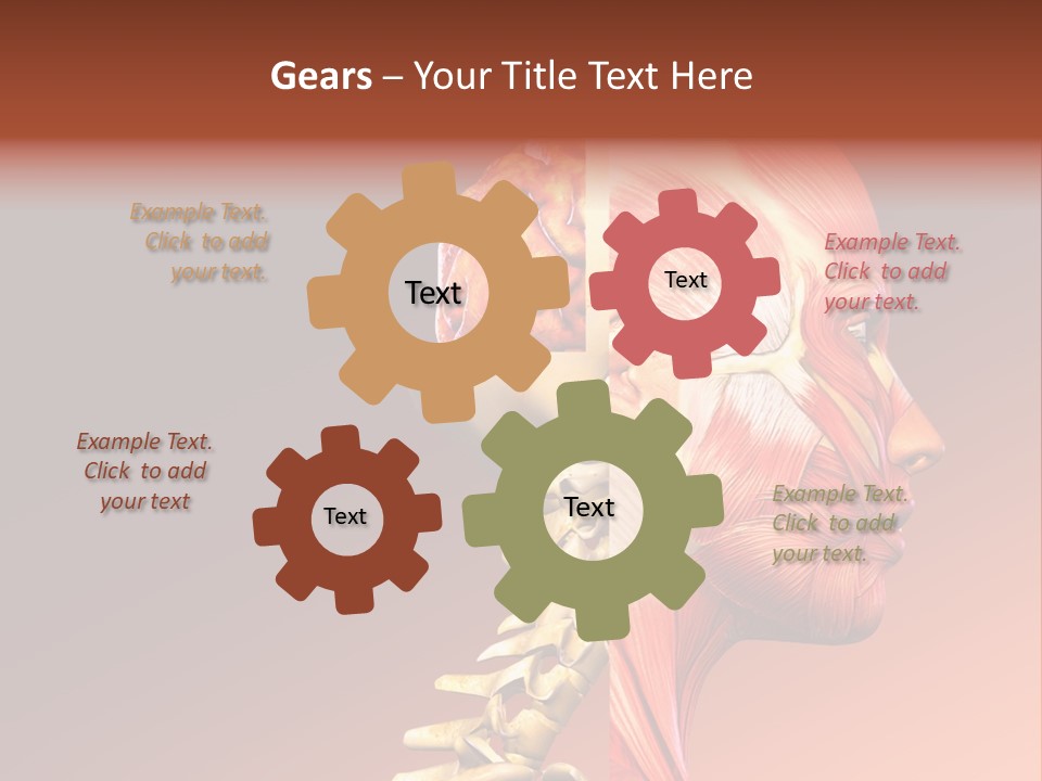 Skeleton Medic Tendon PowerPoint Template