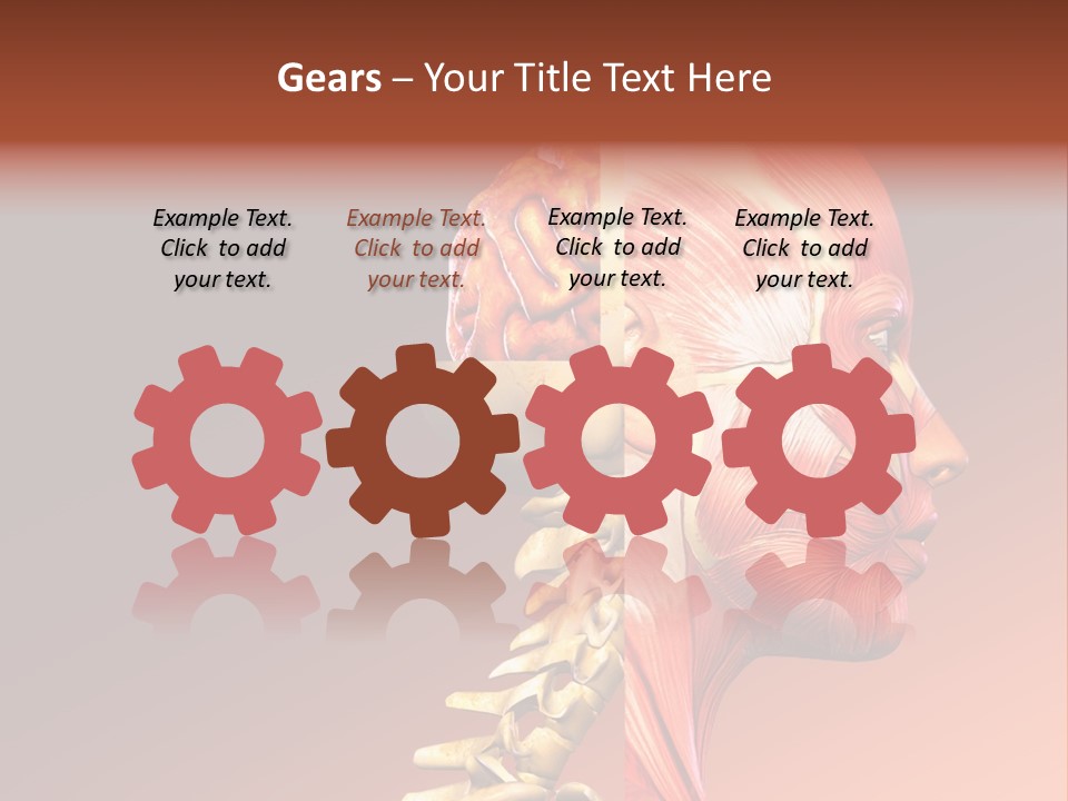 Skeleton Medic Tendon PowerPoint Template