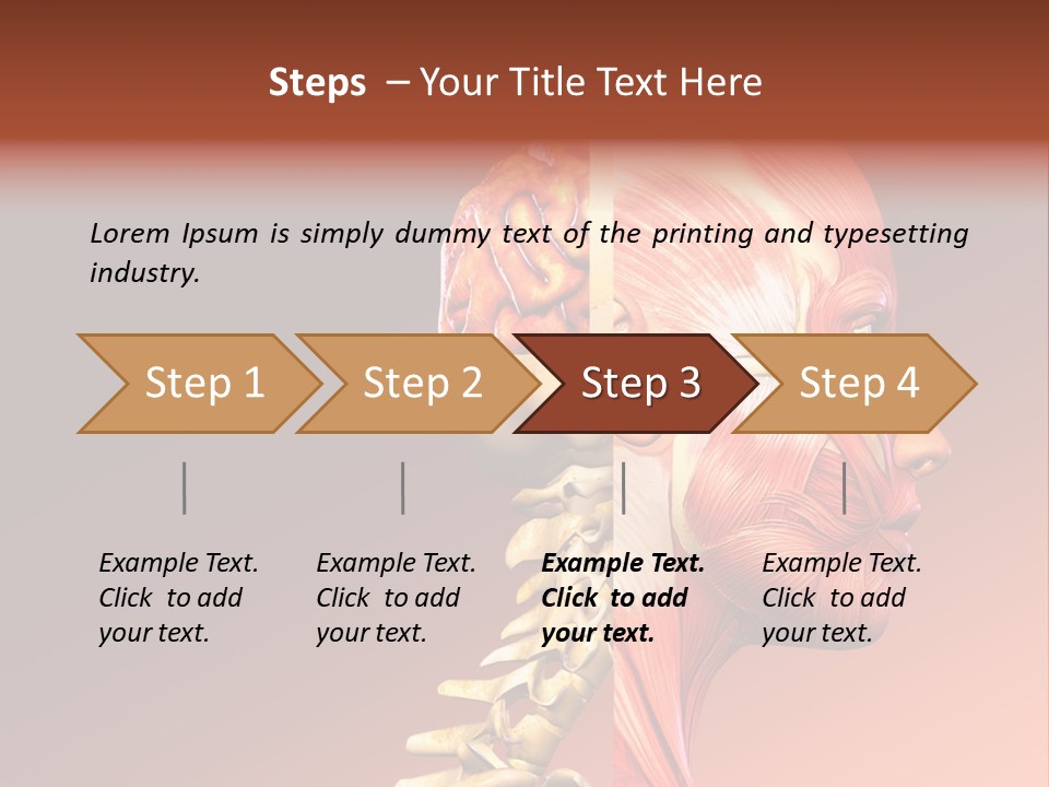 Skeleton Medic Tendon PowerPoint Template