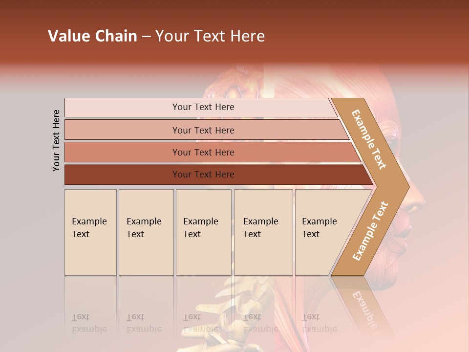 Skeleton Medic Tendon PowerPoint Template