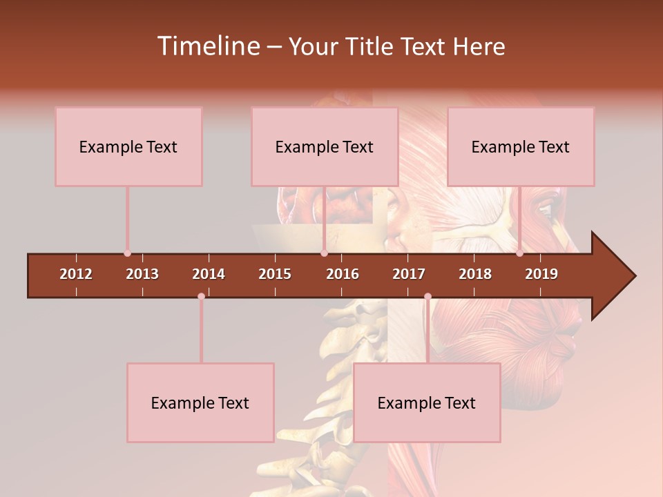 Skeleton Medic Tendon PowerPoint Template