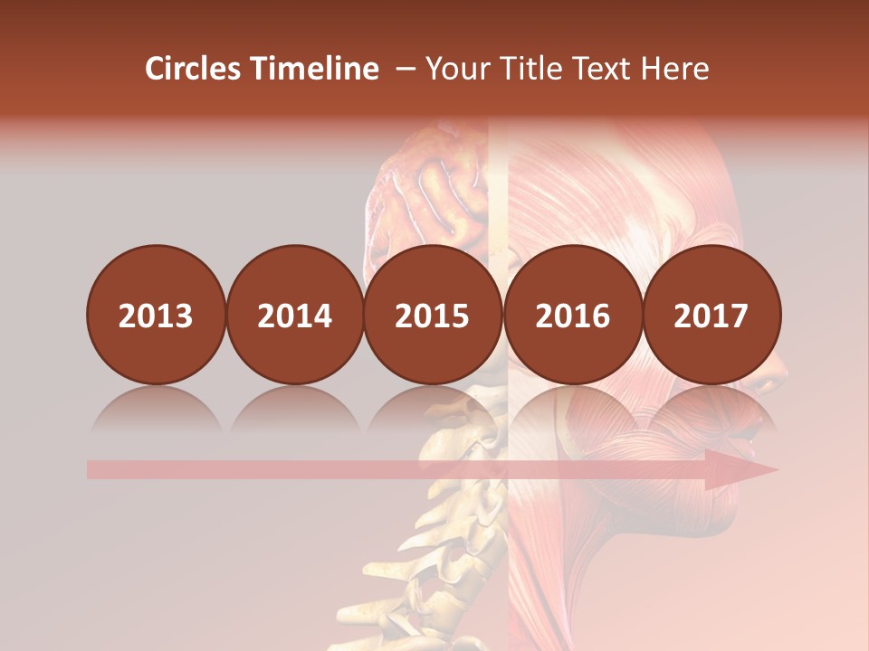 Skeleton Medic Tendon PowerPoint Template