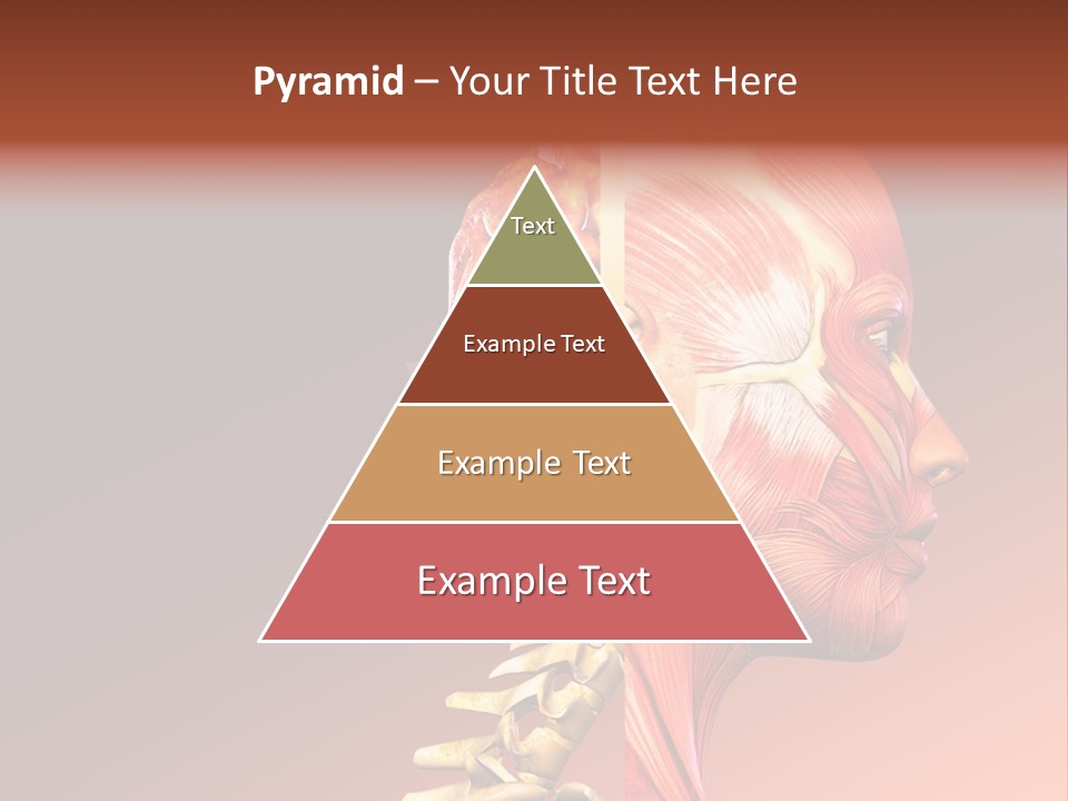 Skeleton Medic Tendon PowerPoint Template