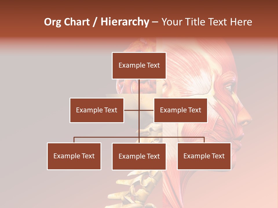 Skeleton Medic Tendon PowerPoint Template