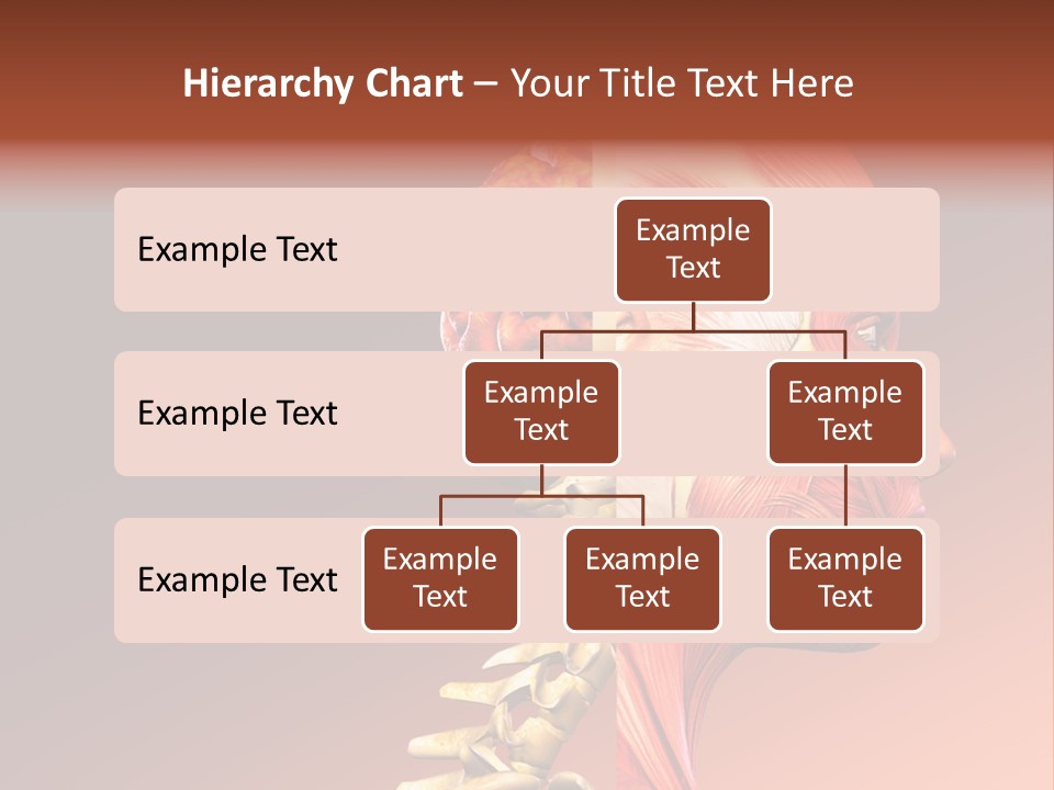 Skeleton Medic Tendon PowerPoint Template