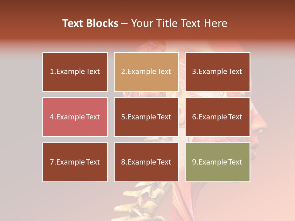 Skeleton Medic Tendon PowerPoint Template