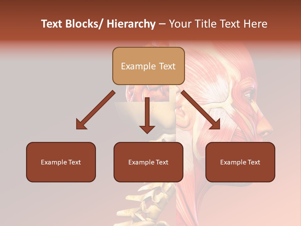 Skeleton Medic Tendon PowerPoint Template
