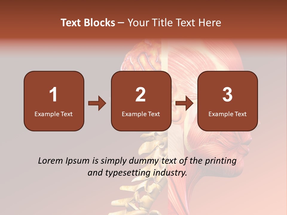 Skeleton Medic Tendon PowerPoint Template