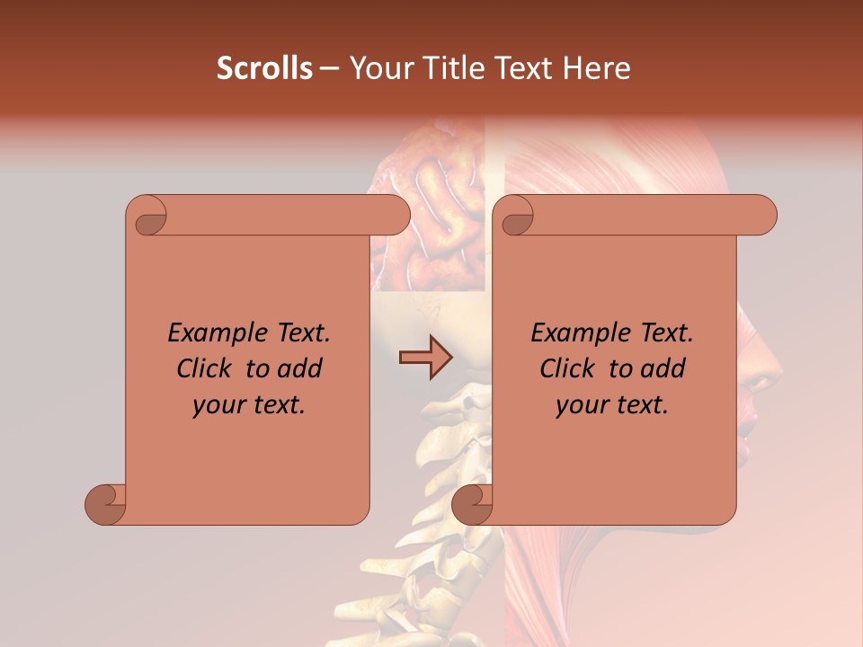 Skeleton Medic Tendon PowerPoint Template