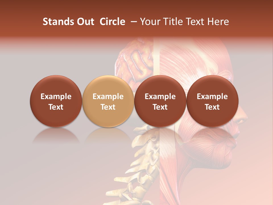 Skeleton Medic Tendon PowerPoint Template