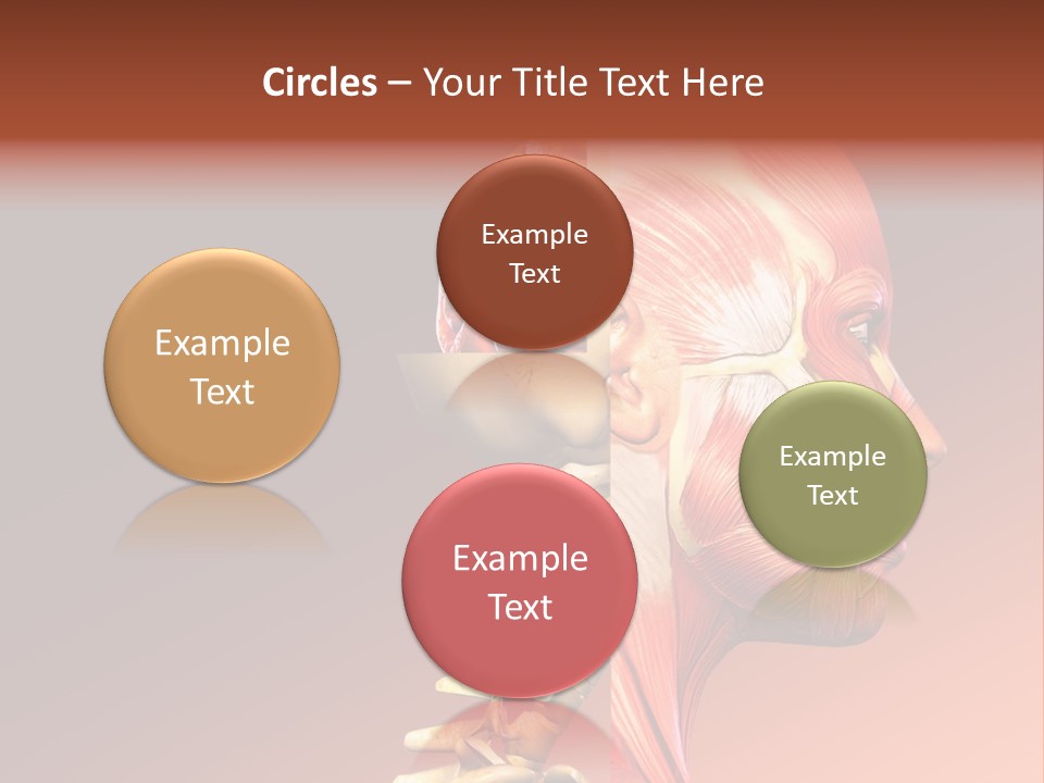 Skeleton Medic Tendon PowerPoint Template