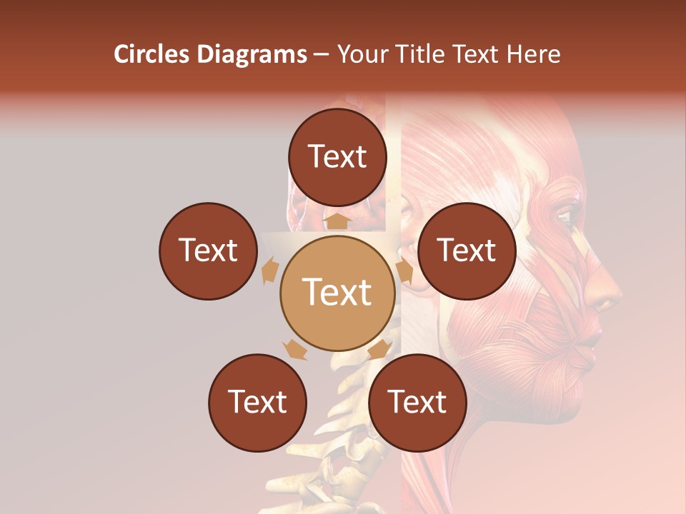 Skeleton Medic Tendon PowerPoint Template