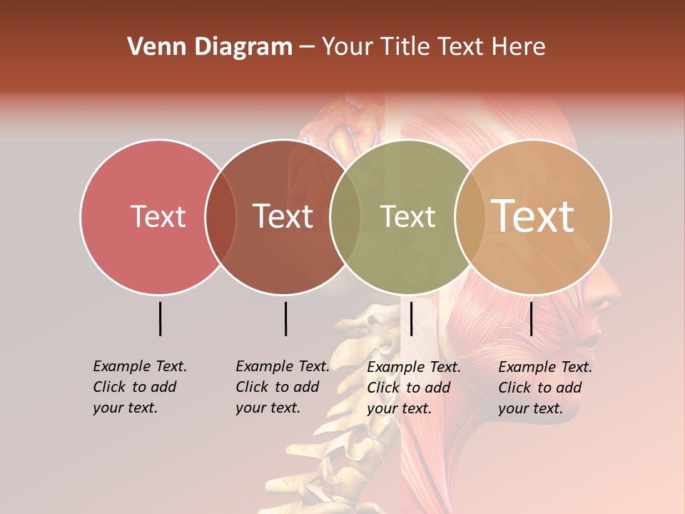 Skeleton Medic Tendon PowerPoint Template