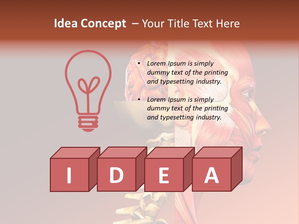 Skeleton Medic Tendon PowerPoint Template