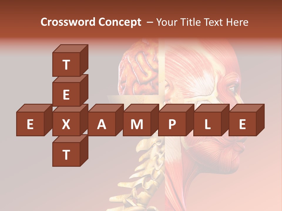 Skeleton Medic Tendon PowerPoint Template