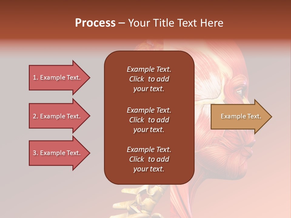 Skeleton Medic Tendon PowerPoint Template